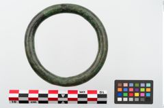 Foto von Bronzegehängering (NHMW-PRAE-024137)